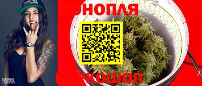 бошки Гатчина
