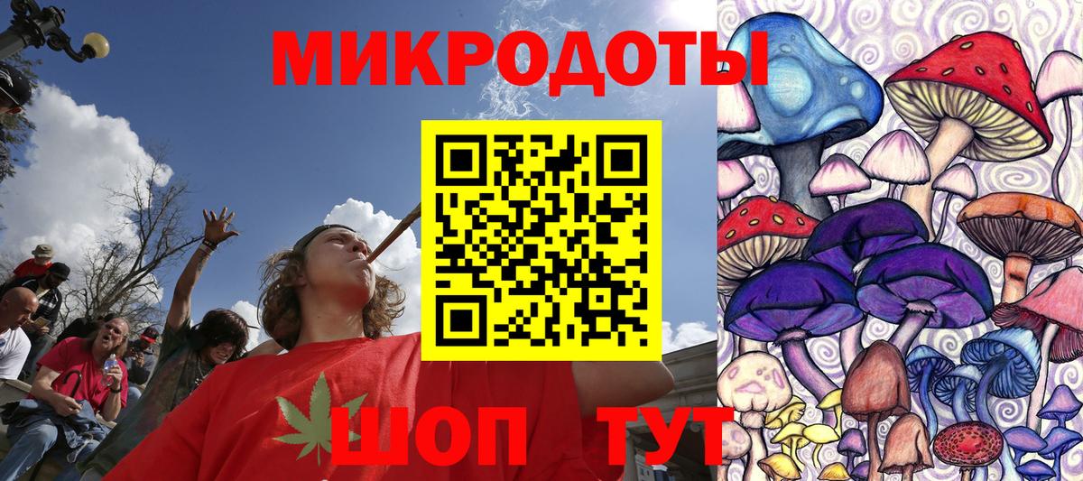 Галлюциногенные грибы Psilocybe Набережные Челны